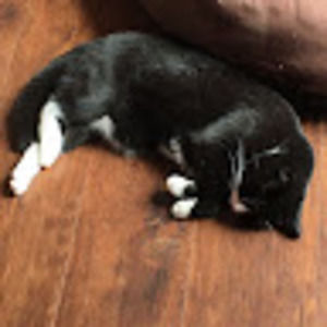 Meet your Posher, Yep